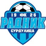 Радник Радник